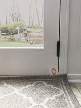 Load image into Gallery viewer, yellow duck cameo flash card in front of door