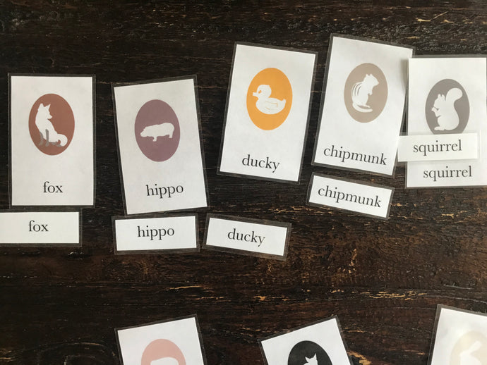 Learn to Play the Animal Flashcards Word Matching Game