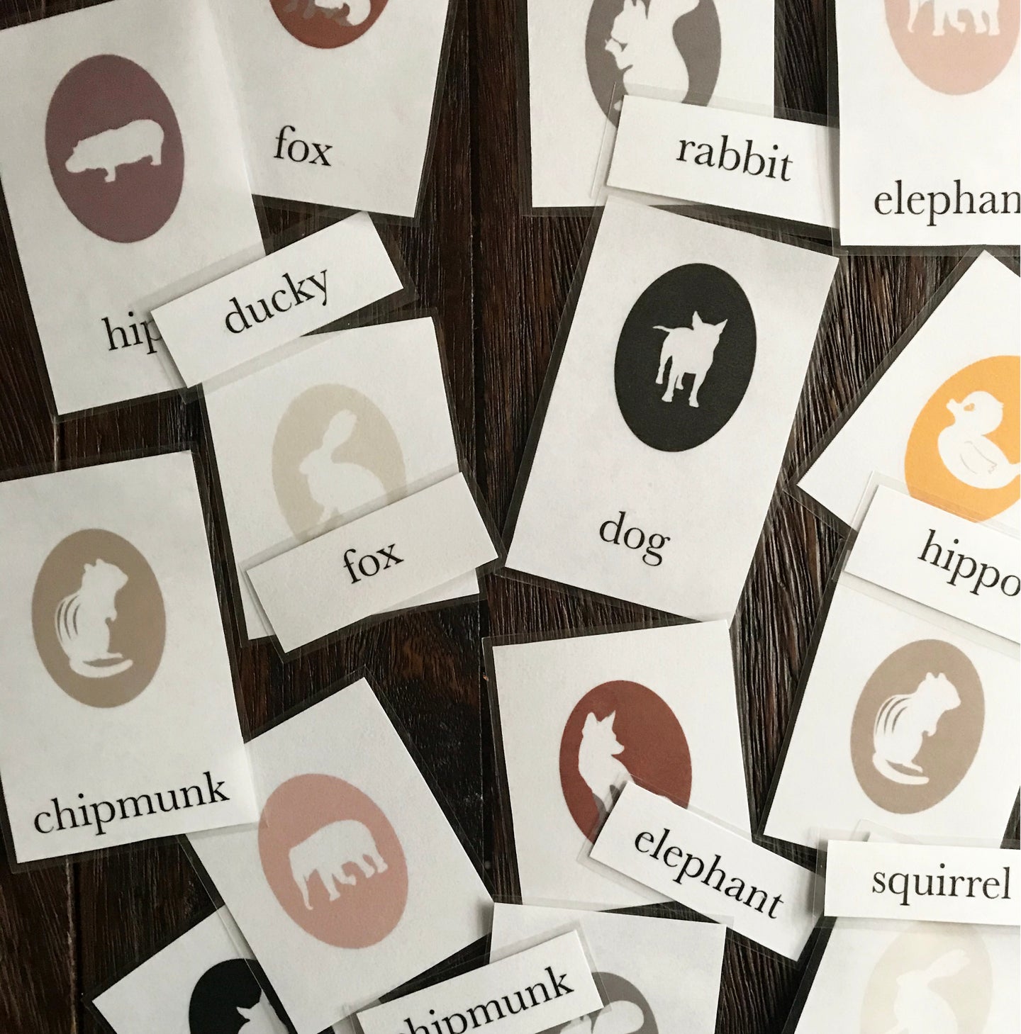 animal cameo flashcards spread out on table